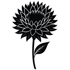 vector illustration of a flower