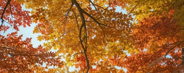 Backlit autumn leaves, vibrant hues glowing through forest canopy, golden, sun