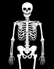 Human skeleton over black background, bones X-ray