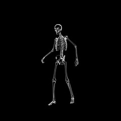 Human skeleton over black background, bones X-ray