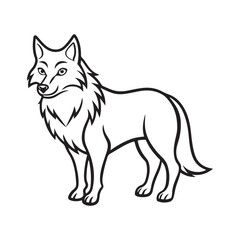 Obraz premium gray wolf vector art illustration