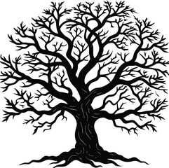 Obraz premium Silhouette of a Maple Tree in Fall with Sparse Leaves