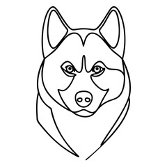 Obraz premium Siberian Husky Canis lupus familiaris head portrait line art drawing. Husky dog breed graphic illustration perfect for pet lovers.