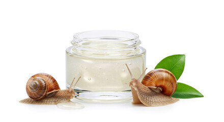 Luxury snail mucus cream for face and body.  High quality cosmetic product concept for skincare advertisement.  Snail cosmetics gel jar without label with two Snails on White background.