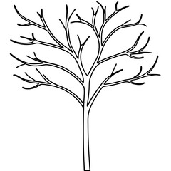 Bare tree branch illustration, black and white, for design projects