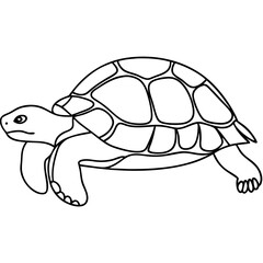 Tortoise line drawing, black and white, for kids coloring pages