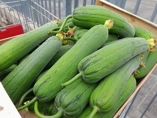 Sponge gourd vegetables in wooden basket. Healthy nutritional raw food sponge gourd. Chinese sponge gourd vegetables. 