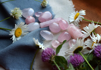 Beautiful natural rose quartz stones with chamomile flowers. Healing crystals.