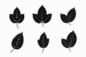 set of mint leaf silhouette vector illustration