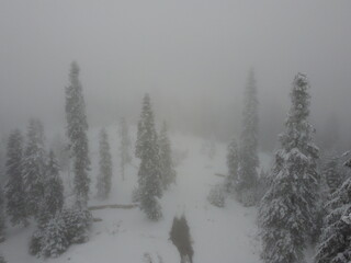 aerial view of the road into jungle in winter
