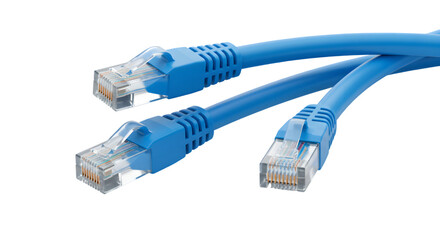 network cables on white background