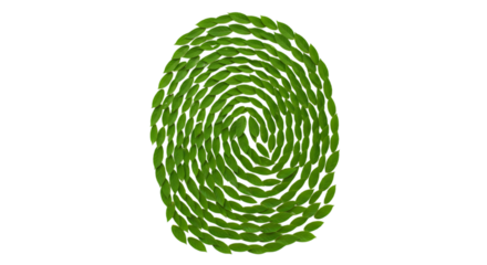 fingerprint made by green leaves on white background