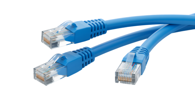 network cables on white background - Powered by Adobe