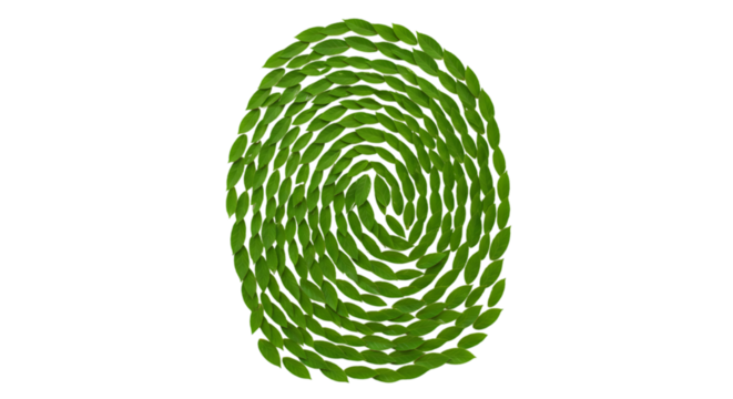 fingerprint made by green leaves on white background