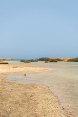 Parco Nazionale di Ras Mohammed - Egitto