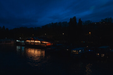 Seine embankment at the evening and night. Spring in Paris. Blossom and architecture. Insects and...