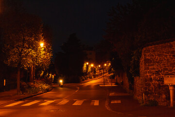 Seine embankment at the evening and night. Spring in Paris. Blossom and architecture. Insects and flowers. High resolution photo.	