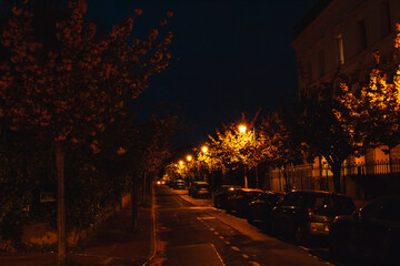 Seine embankment at the evening and night. Spring in Paris. Blossom and architecture. Insects and flowers. High resolution photo.	