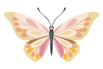 Delicate pastel butterfly wing design illustration