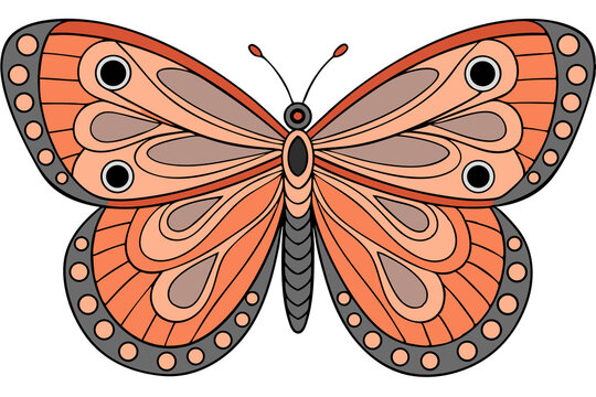 Ornate coral butterfly design zentangle inspired insect art