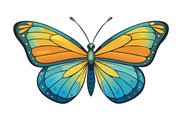 Obraz premium Vibrant blue and orange butterfly illustration