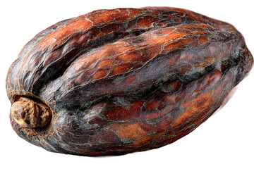 Closeup of a Dried Fruit with Wrinkled Texture and Rich Brown Hues
