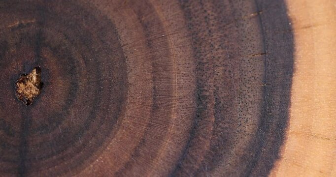 polished walnut wood close-up, part of a polished and oiled walnut wood board used for serving