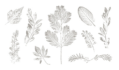 Trendy floral branch and minimalist flowers for logo or decorations. Hand drawn line wedding herb, elegant leaves for invitation save the date card. Botanical rustic trendy vector art.