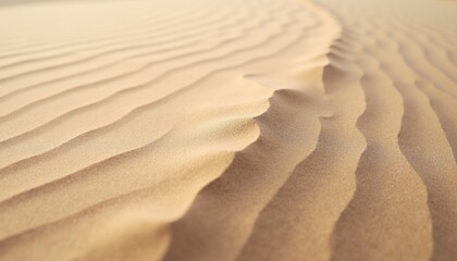 Fototapeta premium Sand Dunes Landscape with Ripples and Shadows