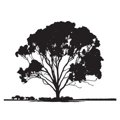 Fototapeta premium Eucalyptus Tree Silhouette for Eco Branding