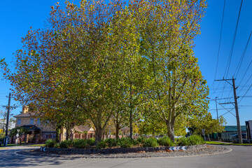 Beautifully and Architectually designed Residential Brick house House is a green leafy inner Suburb of Melbourne VIC Australia 