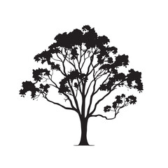 Fototapeta premium Eucalyptus Tree Silhouette for Nature Art