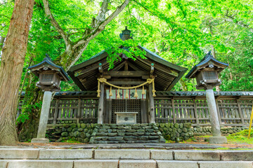 初夏の諏訪大社 上社 前宮　長野県茅野市　Suwa Taisha Shrine in early summer. Kamisha. Maemiya. Nagano Pref, Chino City.