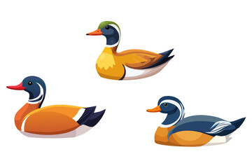 カモのイラストの素材セット