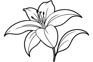 Abstract white curved line splash design element