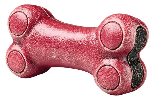 Red textured boneshaped object studio shot isolated on black background