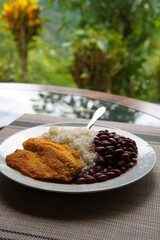 Rice and beans accompanied by a breaded tilapia fillet. Healthy Costa Rican lunch.