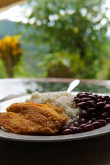 Rice and beans accompanied by a breaded tilapia fillet. Healthy Costa Rican lunch.