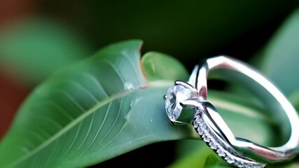Elegant white gold ring with a diamond solitaire and pavé band set on a vibrant green leaf creating soft light and shadows in nature. - Powered by Adobe