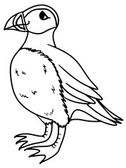 Puffin Penguin Line Art Outline Vector Drawing