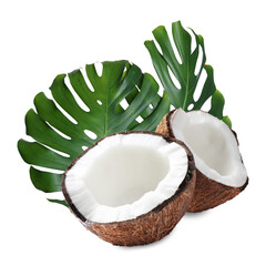 Fresh coconut and green tropical monstera leaves isolated on white