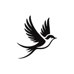 bird mid flight