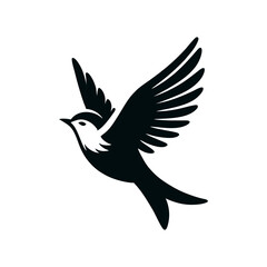 bird mid flight