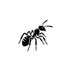 silhouette of an ant
