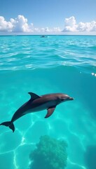 Obraz premium Sleek dolphins gracefully glide through crystal-clear Mauritian waters , wildlife conservation, nature
