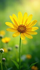 Sunny yellow daisy, vibrant petals, green meadow, wildflowers, environment, beautiful