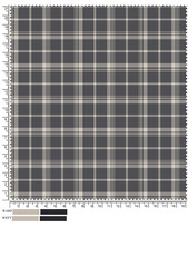 Grey and Beige Plaid Fabric Swatch with Ruler for Measuring Warp and Weft