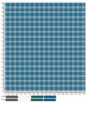 Blue and White Plaid Fabric Swatch with Ruler and Color Palette