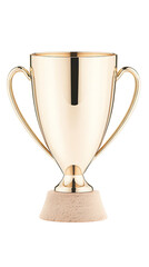 Gold trophy with wooden base, and award.