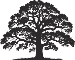Obraz premium Silhouette of a majestic oak tree showing detailed branches and lush foliage against white background